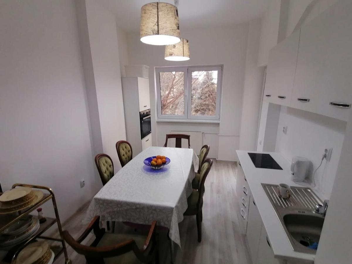 Central Appartment - Heart Of Bucharest - Sector 1 - New Renovated - Open Space 외부 사진