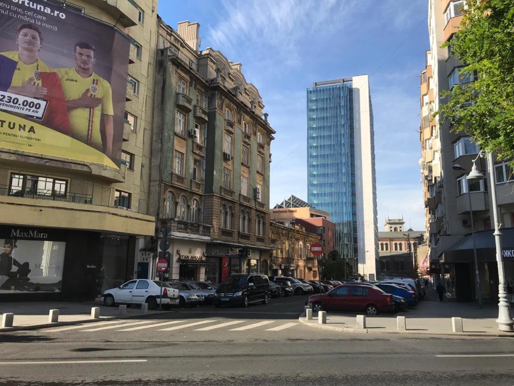 Central Appartment - Heart Of Bucharest - Sector 1 - New Renovated - Open Space 외부 사진