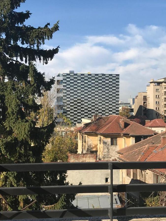 Central Appartment - Heart Of Bucharest - Sector 1 - New Renovated - Open Space 외부 사진
