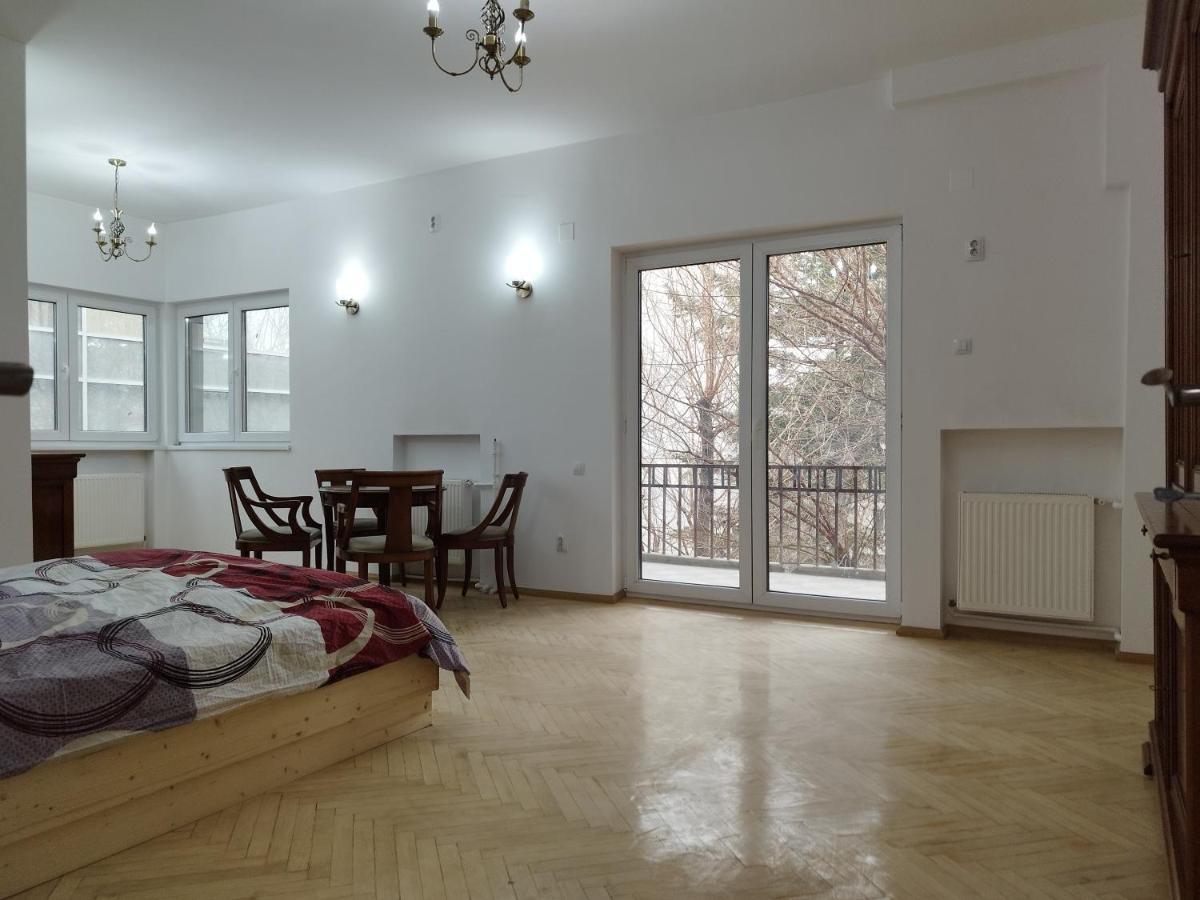 Central Appartment - Heart Of Bucharest - Sector 1 - New Renovated - Open Space 외부 사진