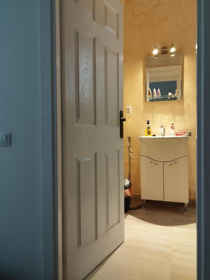 Central Appartment - Heart Of Bucharest - Sector 1 - New Renovated - Open Space 외부 사진